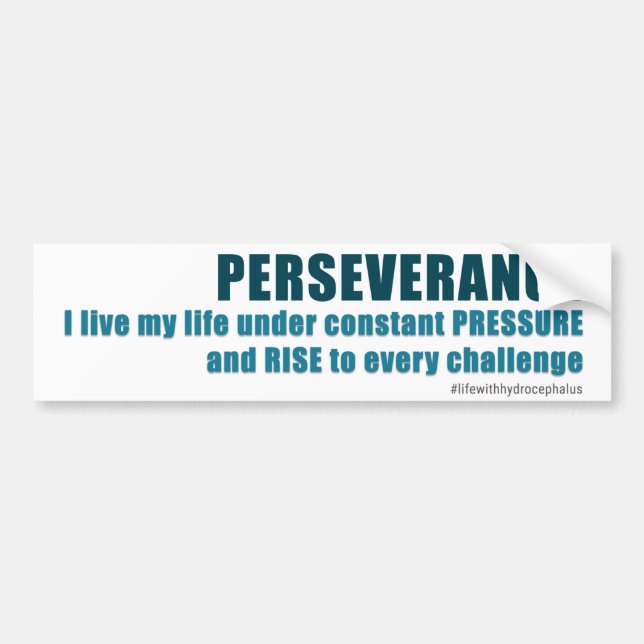 Perseverance Bildekal (Framsidan)