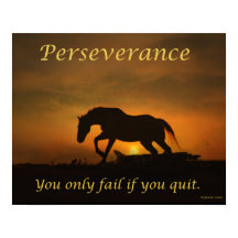 Perseverance Horse Poster