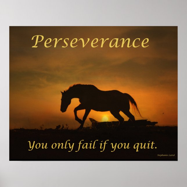 Perseverance Horse Poster (Framsidan)
