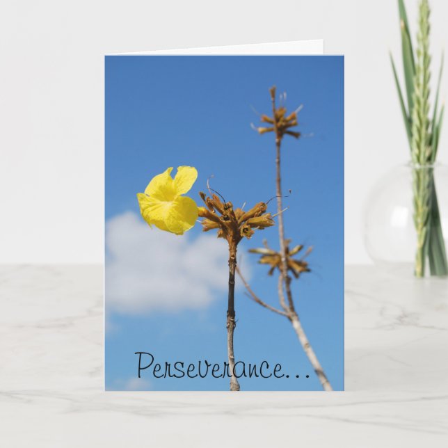 Perseverance Kort (Framsida)