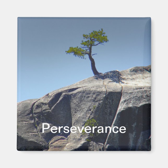 Perseverance ~ Magnet (Framsidan)
