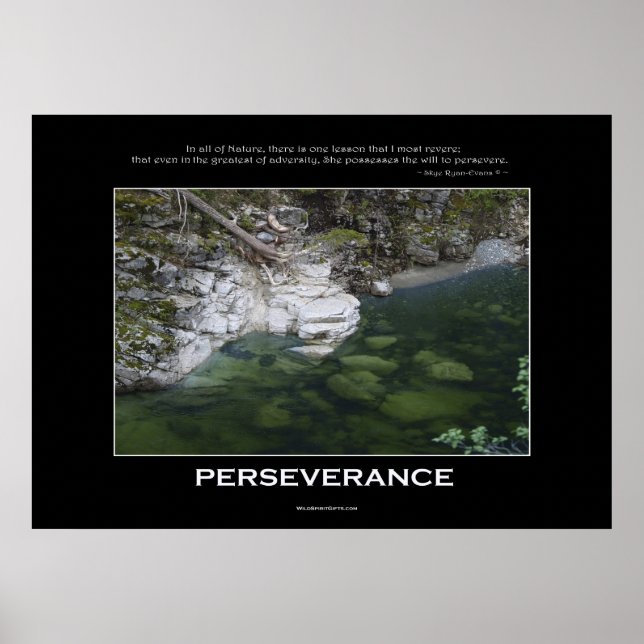 PERSEVERANCE Nature Poster (Framsidan)