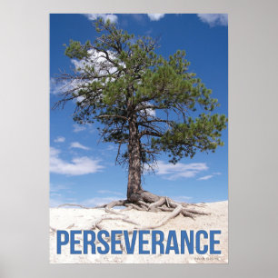 Perseverance Träd Motivational Poster