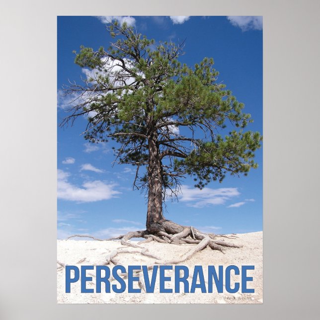Perseverance Träd Motivational Poster (Framsidan)