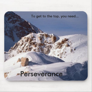 Perseverance vid TDGallery Musmatta