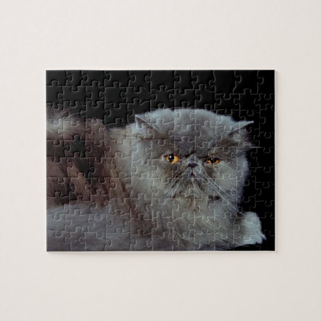 Persian Blue cat Pussel (Horisontell)