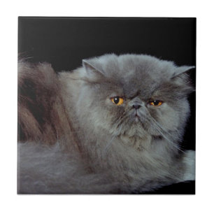 Persian Blue Kakelplatta