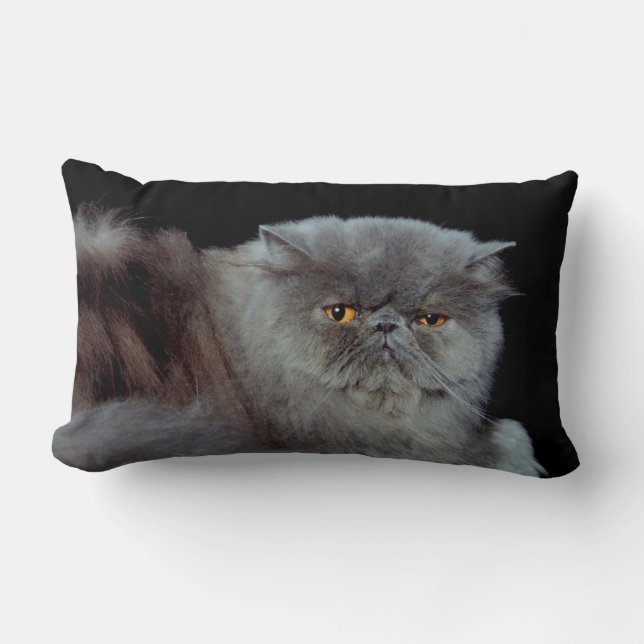 Persian Blue Lumbarkudde (Framsida)