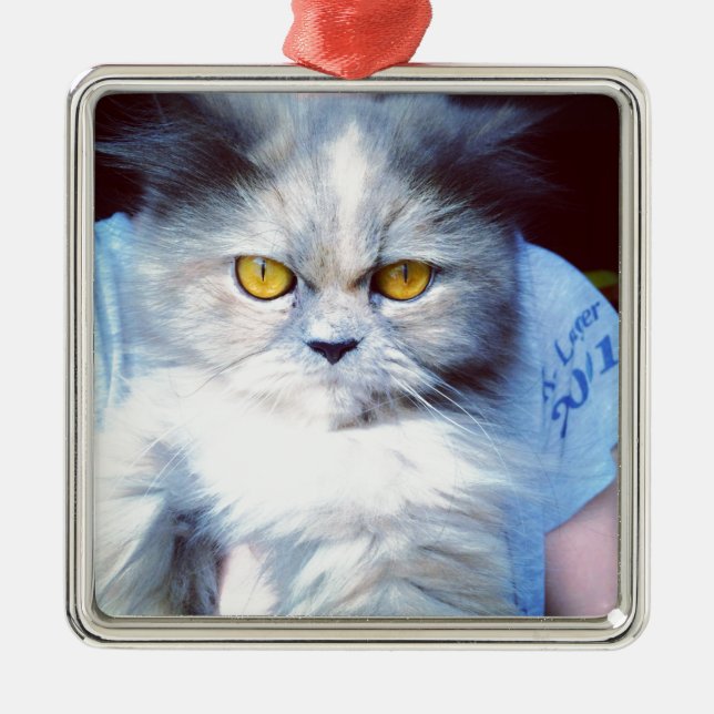 persian cat 5 julgransprydnad metall (Framsidan)
