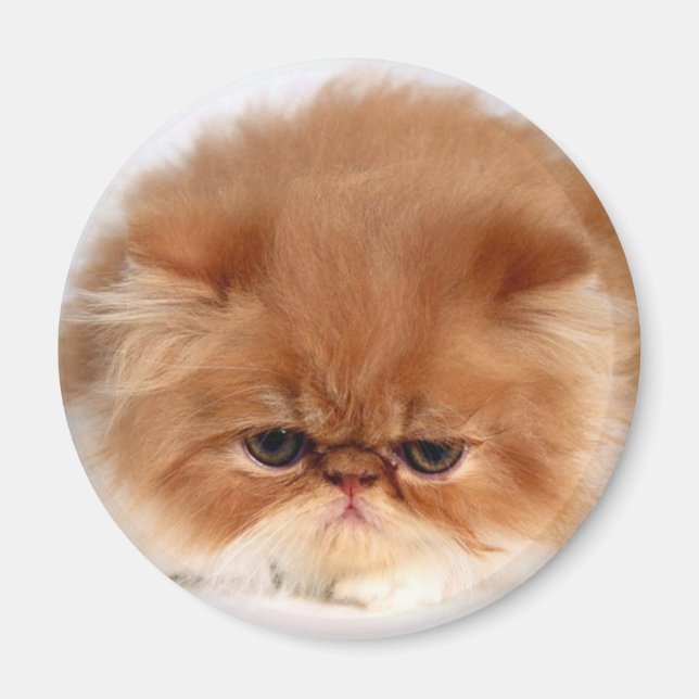 Persian Cat Ansikte Magnet (Framsidan)