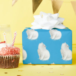 Persian Cat Aqua Presentpapper