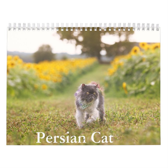 Persian Cat Calendar Kalender (Omslag)