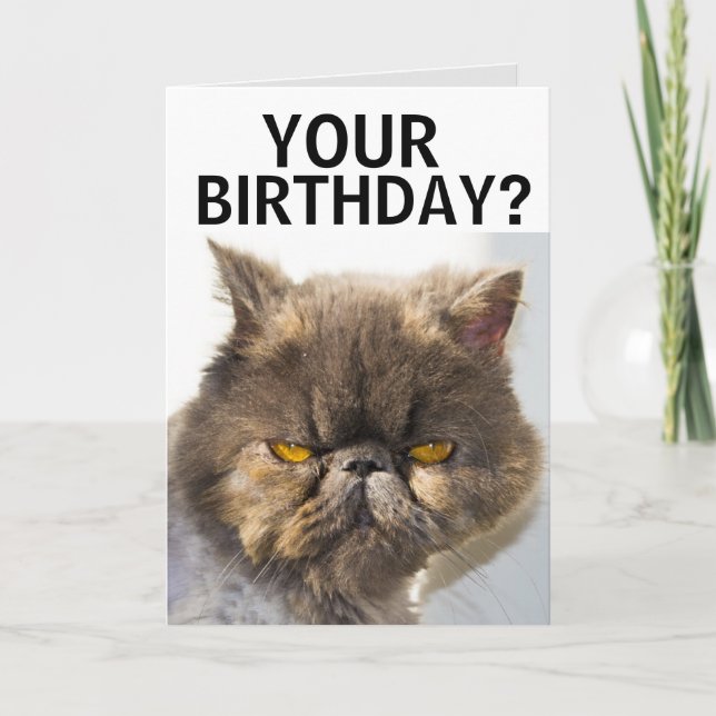 PERSIAN CAT FUNNY BIRTHDAY Card Kort (Framsida)