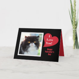 Persian Cat I Kärlek You Valentine Helgkort