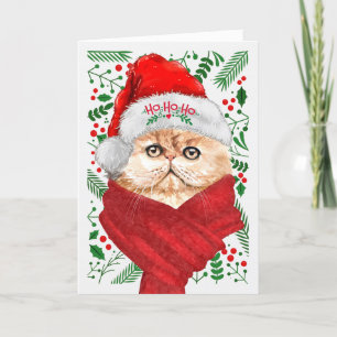 Persian Cat in a Santa Hat Meowy jul Helgkort