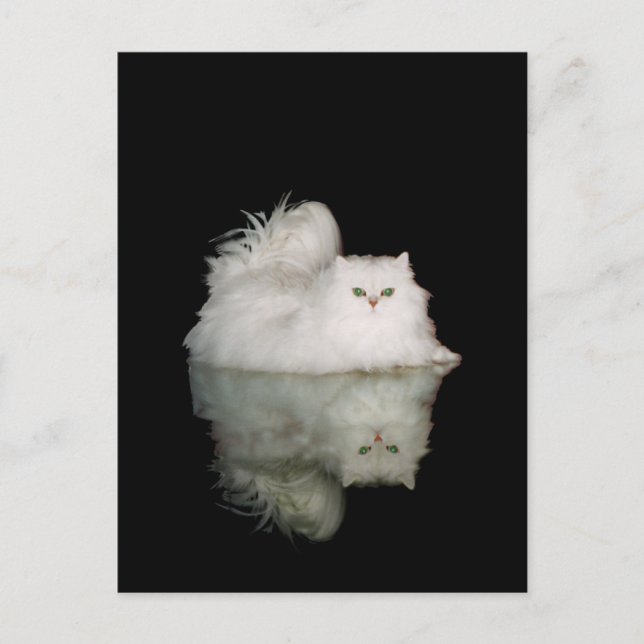 Persian Cat med Jade Grönt Öga Vykort (Framsida)