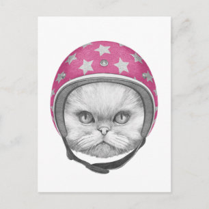 Persian Cat Motorcycle Rider Vykort