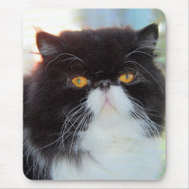 Persian Cat Mousepad Musmatta