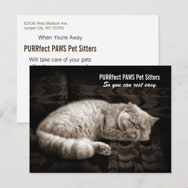 Persian Cat Sleeping in Sepia Tones Pet Sitter's P Vykort (Fram/baksida)