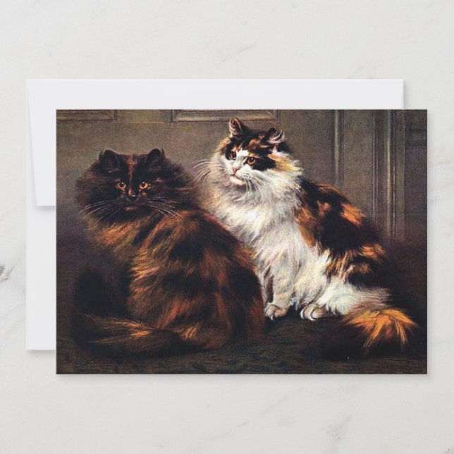 Persian Cats Tortoiseshell #Katurdagsinbjudan Inbjudningar (Framsida)