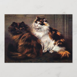 Persian Cats Tortoiseshell #Katurdagsinbjudan Inbjudningar