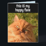 PERSIAN GINGER CAT FUNNY LYCKLIG ANSIKTE BIRTHDAY  KORT<br><div class="desc">PERSIAN GINGER CARD READS: DETTA ÄR MIN LYCKLIG ANSIKTE. JAG ÄR HÄR FÖR CAKE. GRATTIS PÅ FÖDELSEDAGEN</div>