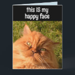 PERSIAN GINGER CAT FUNNY LYCKLIG ANSIKTE BIRTHDAY  KORT<br><div class="desc">PERSIAN GINGER CARD READS: DETTA ÄR MIN LYCKLIG ANSIKTE. JAG ÄR HÄR FÖR CAKE. GRATTIS PÅ FÖDELSEDAGEN</div>
