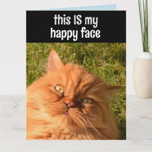 PERSIAN GINGER CAT FUNNY LYCKLIG ANSIKTE BIRTHDAY  KORT