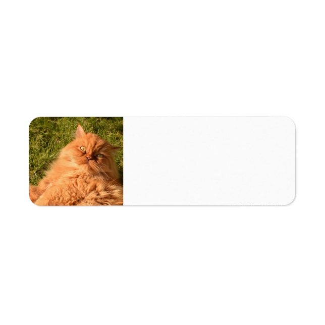 PERSIAN GINGER CAT-RETURETIKETTER RETURADRESS ETIKETT (Framsidan)