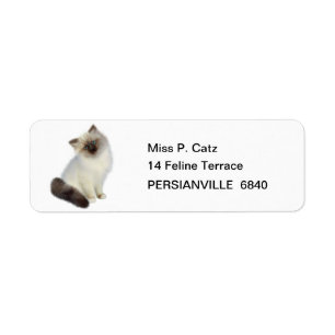 Persian Kitten Returadress Etikett