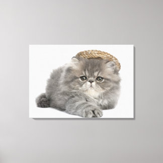 Persian Kitten (två månader gammal) med halm Canvastryck