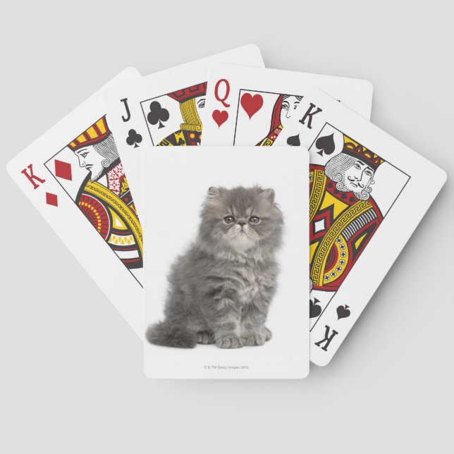 Persian Kitten (två månader gammal) sitta Spel Kort (Baksidan)