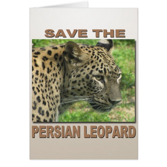 Persian Leopard Hälsningskort (Framsidan)