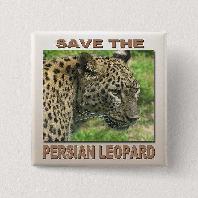 Persian Leopard Knapp (Framsida)