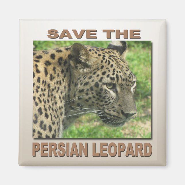 Persian Leopard Magnet (Framsidan)