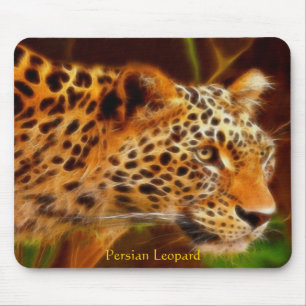 Persian Leopard Musmatta