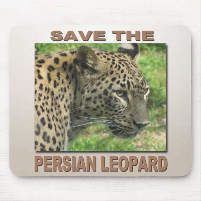 Persian Leopard Musmatta (Framsidan)