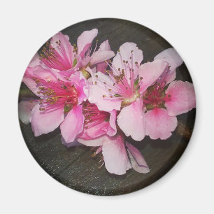 Persika Blommar Magnet
