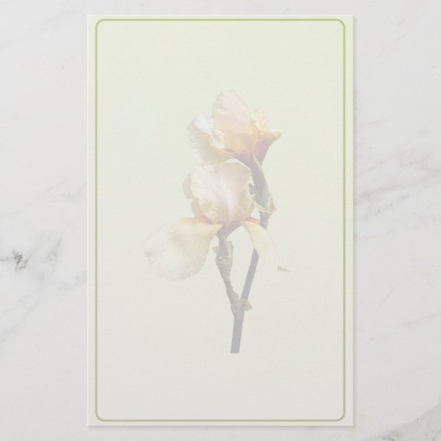 Persika Färgad Irises Brevpapper (Framsida)