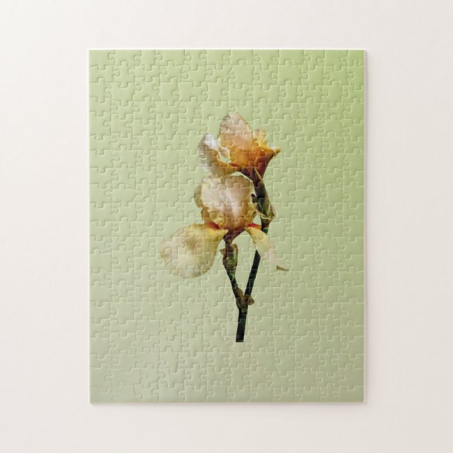 Persika Färgad Irises Pussel (Vertikal)