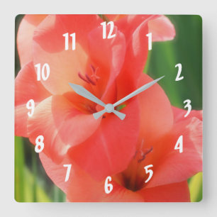 Persika Gladiolas Flower Up Close Fyrkantig Klocka