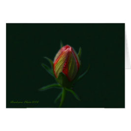 Persika Hibiscus blomma en själ som blommar i natu Hälsningskort