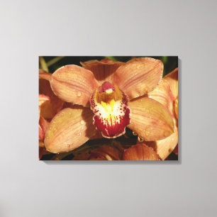 Persika Orchids med Blommigten Raindrops Canvastryck