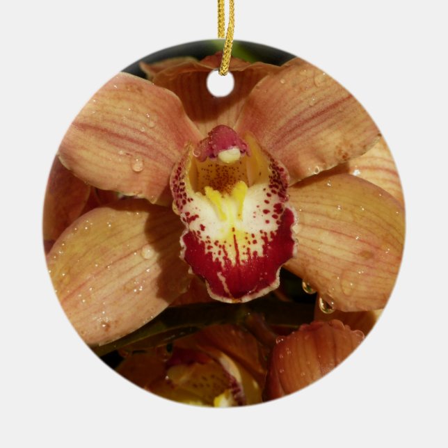 Persika Orchids med Blommigten Raindrops Julgransprydnad Keramik (Framsidan)
