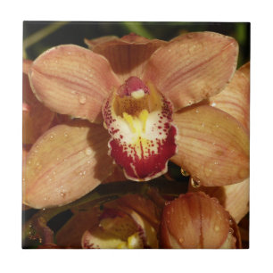 Persika Orchids med Blommigten Raindrops Kakelplatta