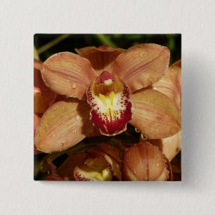 Persika Orchids med Blommigten Raindrops Knapp