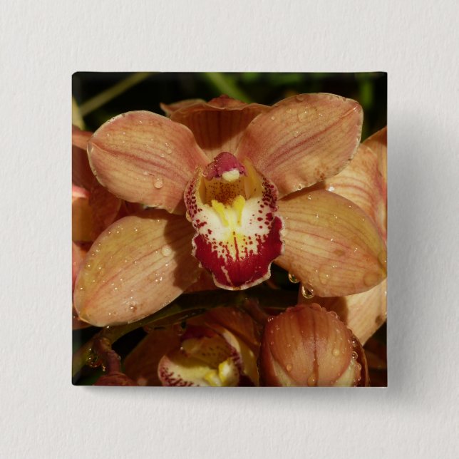 Persika Orchids med Blommigten Raindrops Knapp (Framsida)