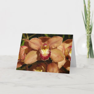 Persika Orchids med Blommigten Raindrops Kort