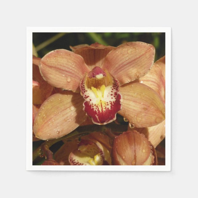 Persika Orchids med Blommigten Raindrops Pappersservett (Framsidan)