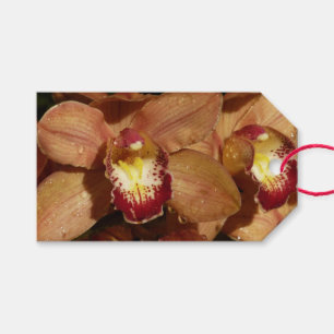 Persika Orchids med Blommigten Raindrops Presentetikett